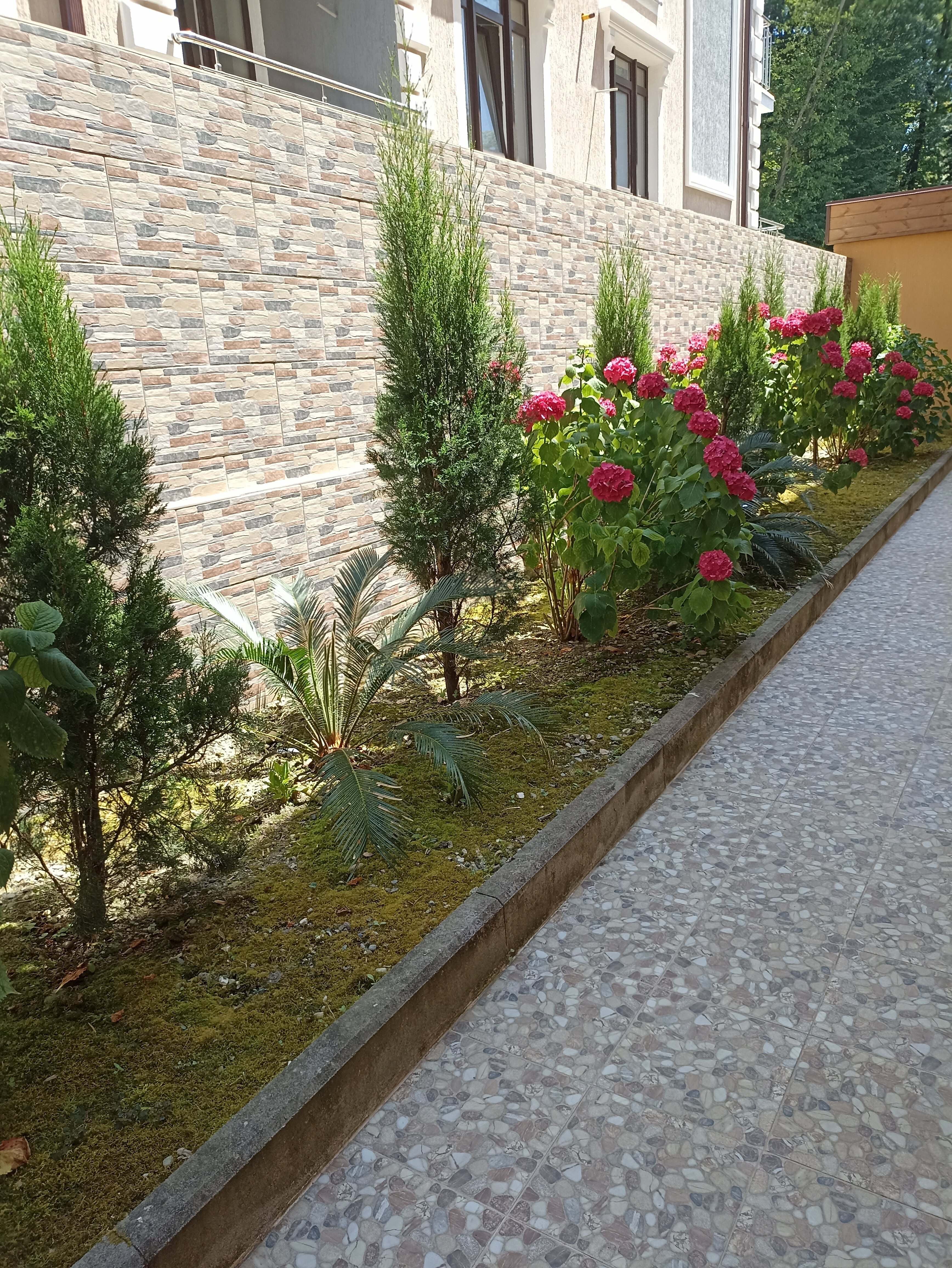 Фото Возрождение