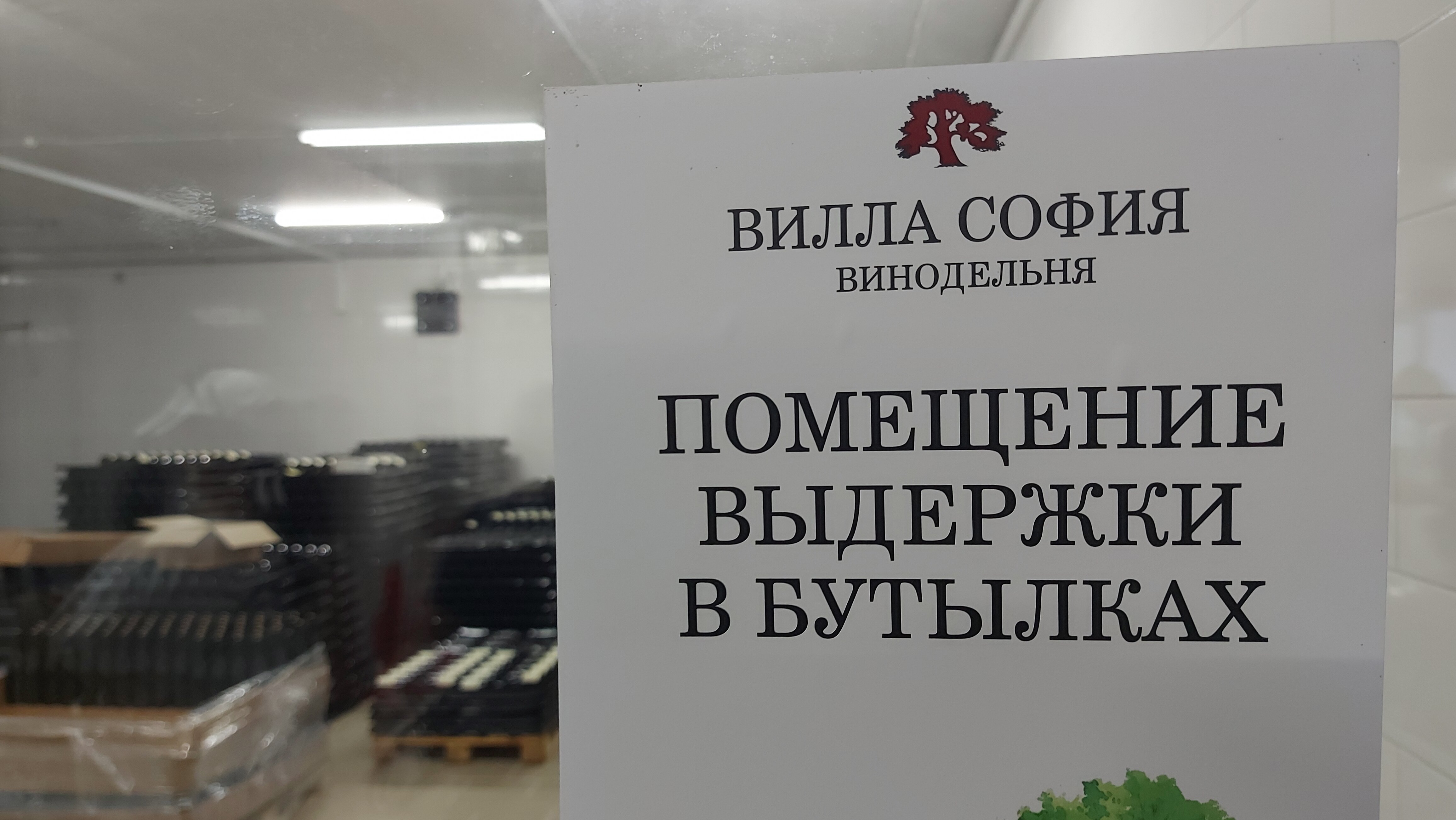 Фото Вилла София