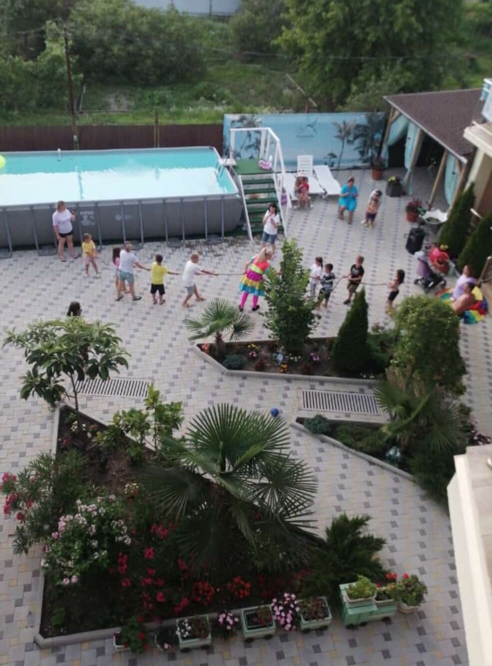 Фото Колибри