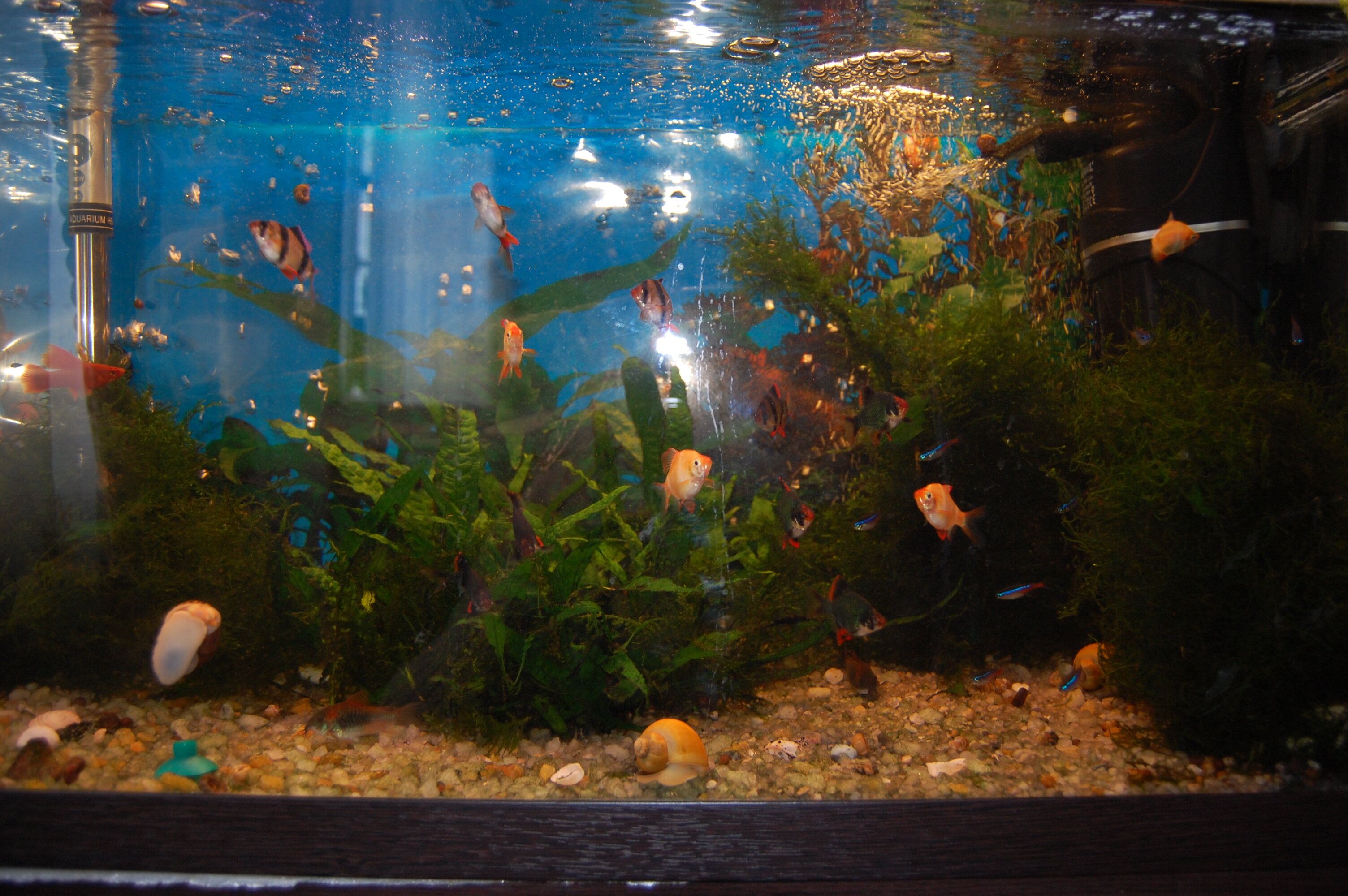 Фото Избушка в Репном