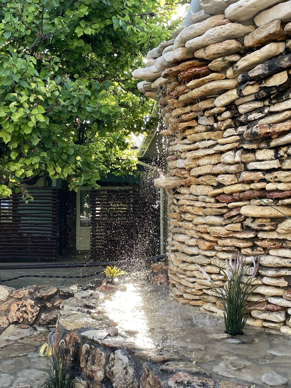 Фото Морская Звезда