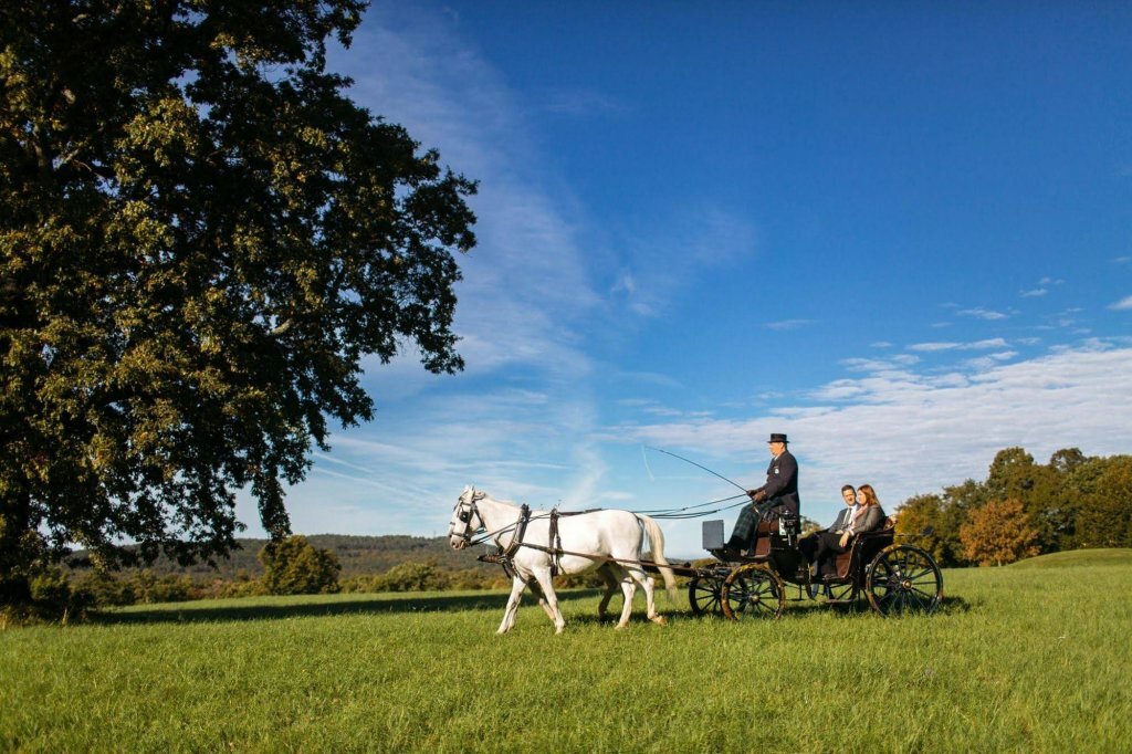 Фото Hotel Maestoso