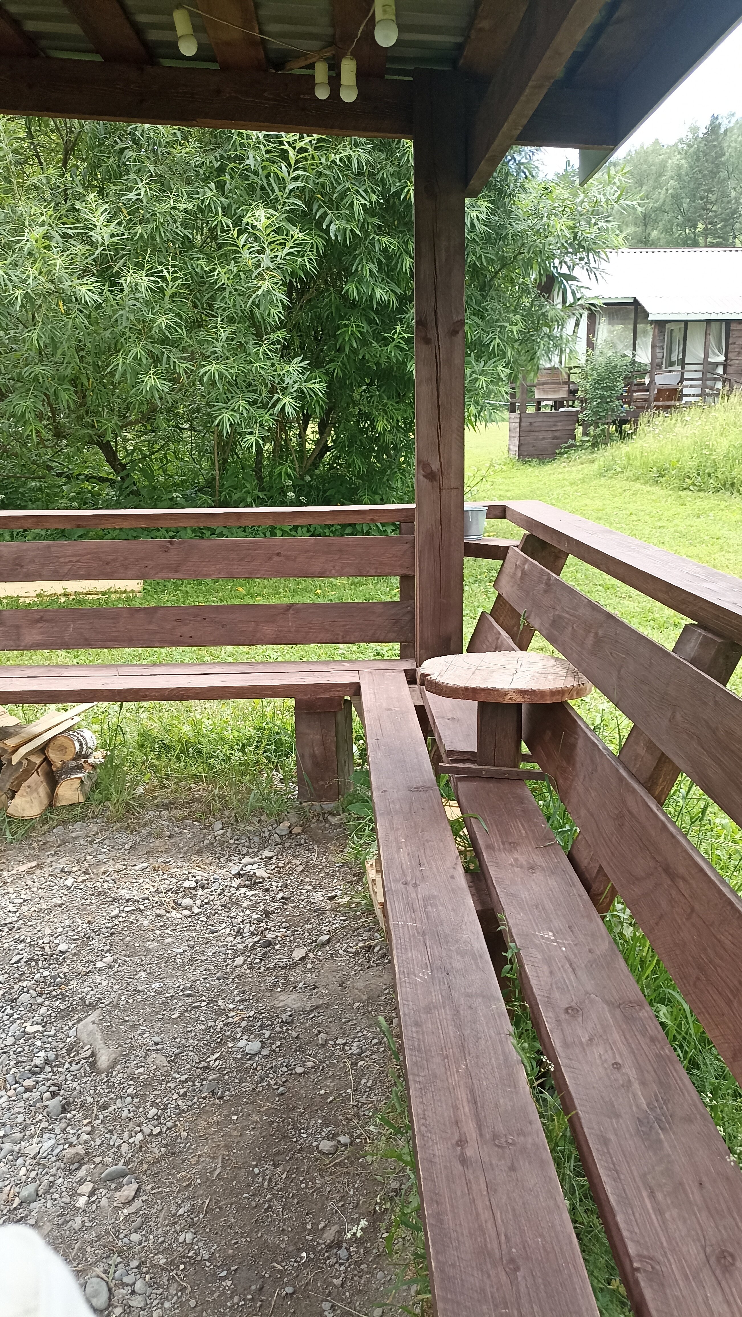 Фото Большие Коты