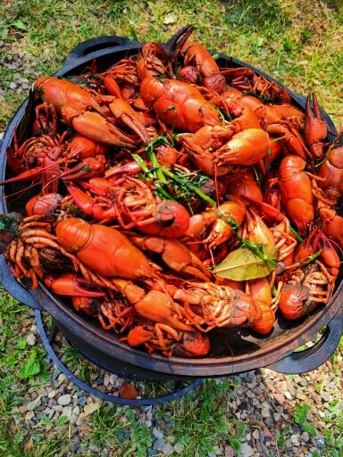 Фото Гармония Плюс