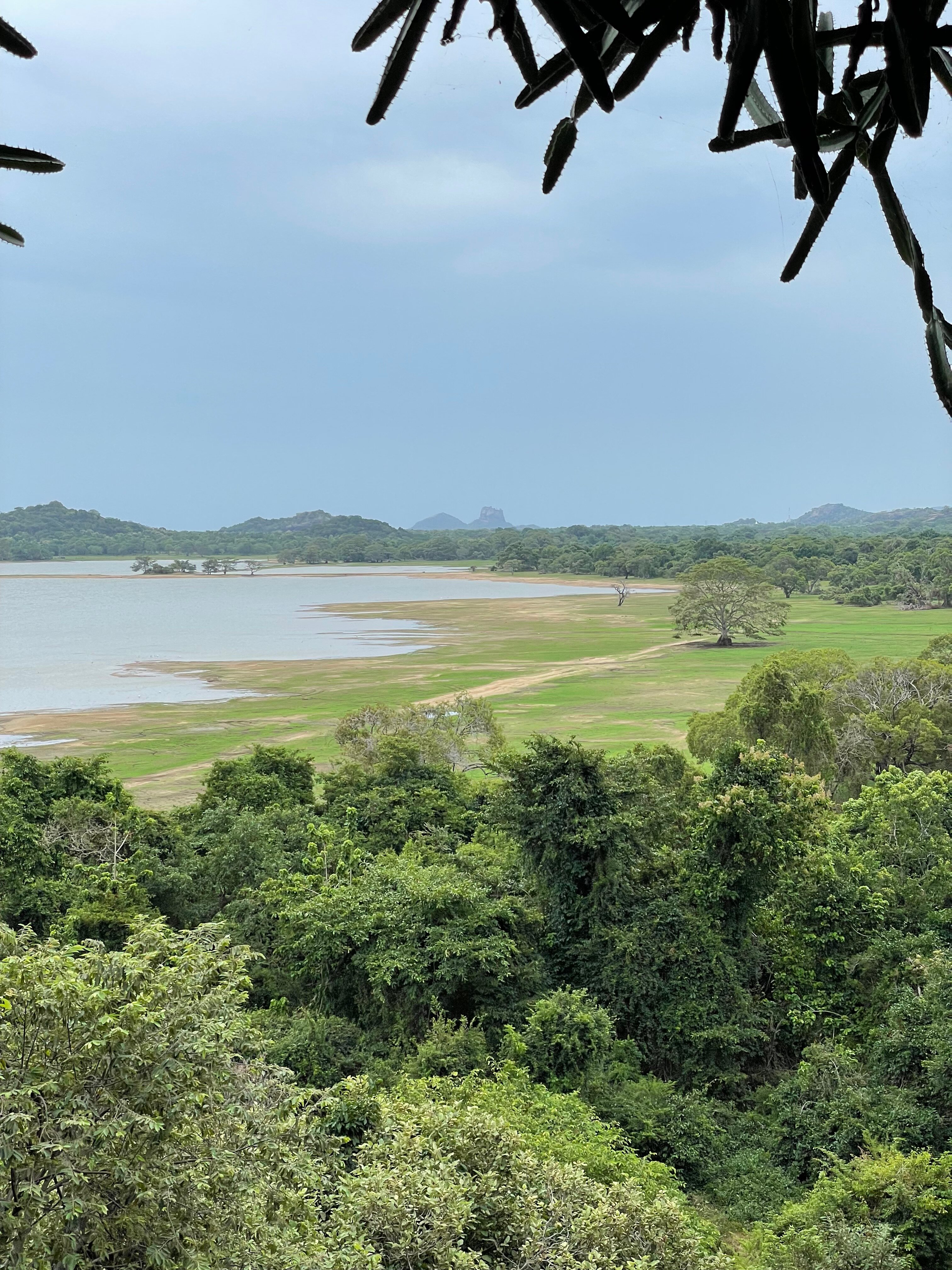 Фото Heritance Kandalama