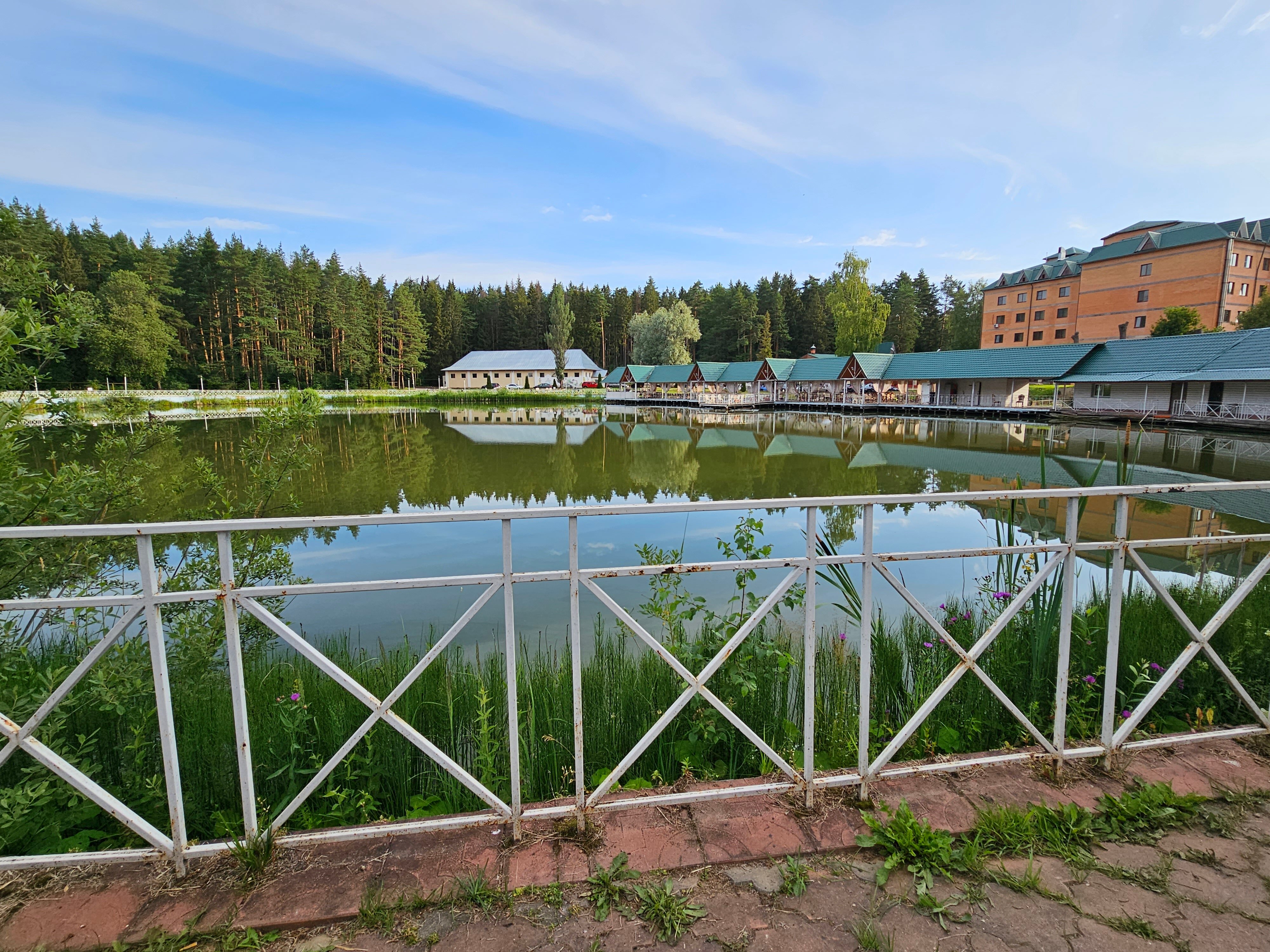 Фото Лесная сказка