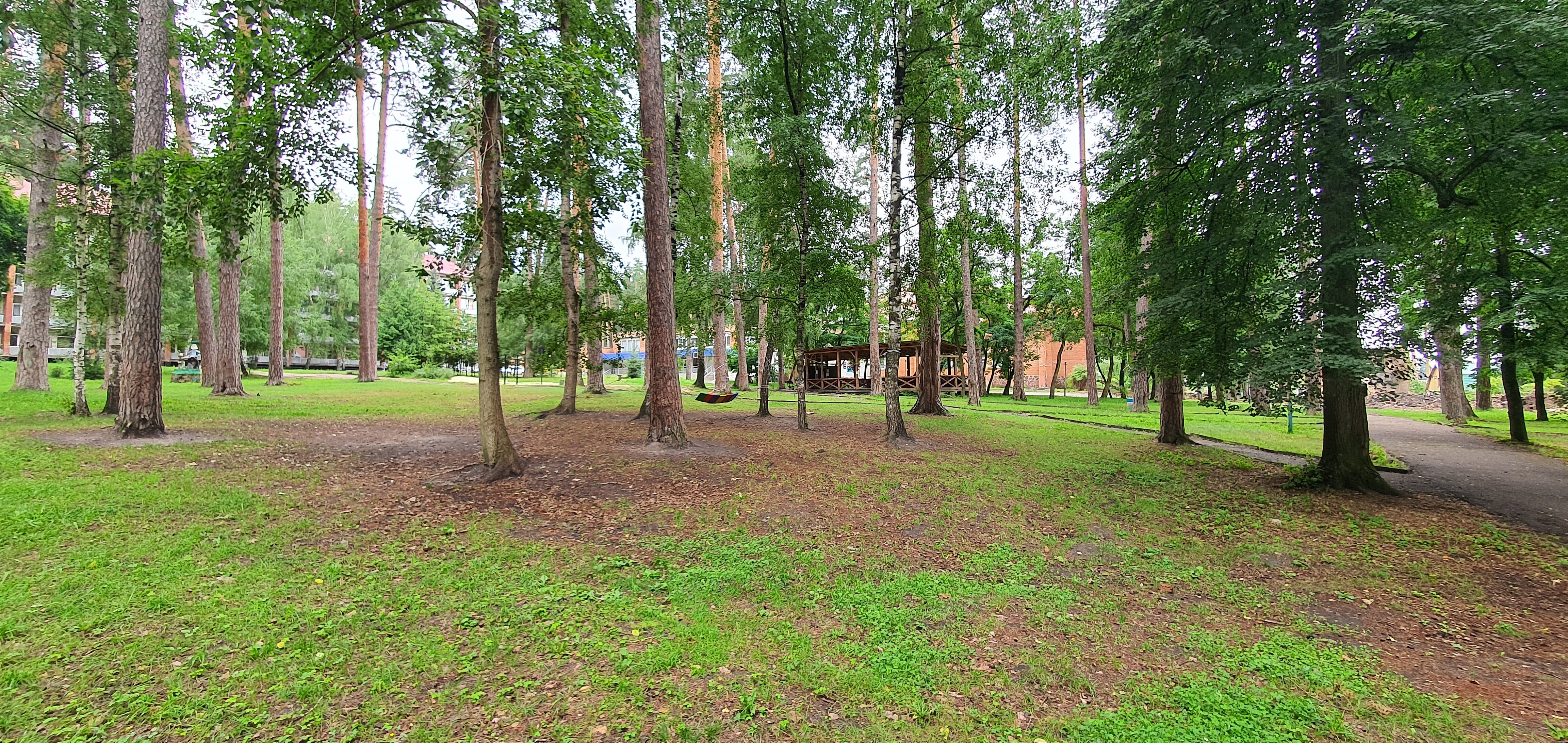 Фото ПроЛес