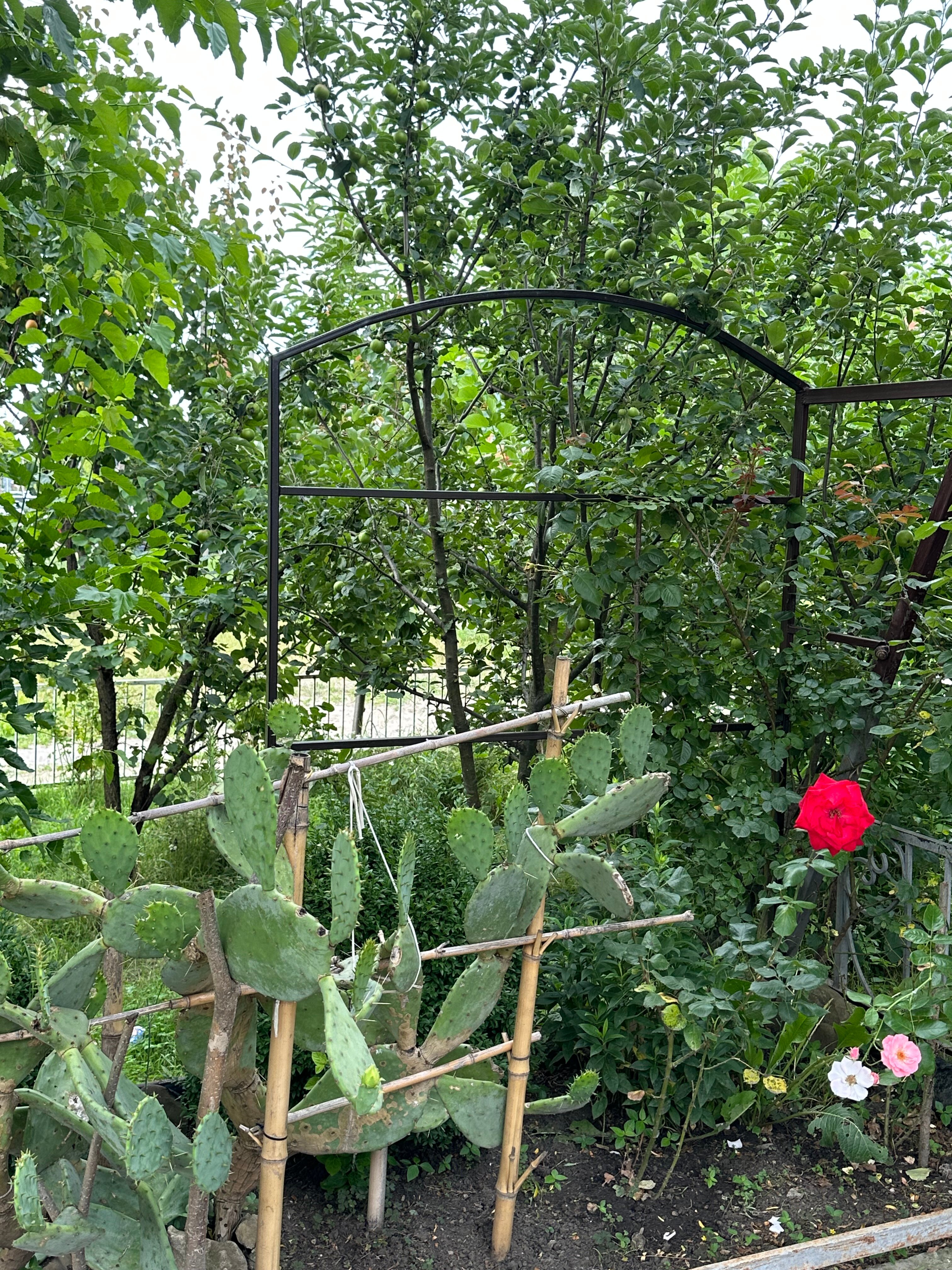 Фото Рич Хаус