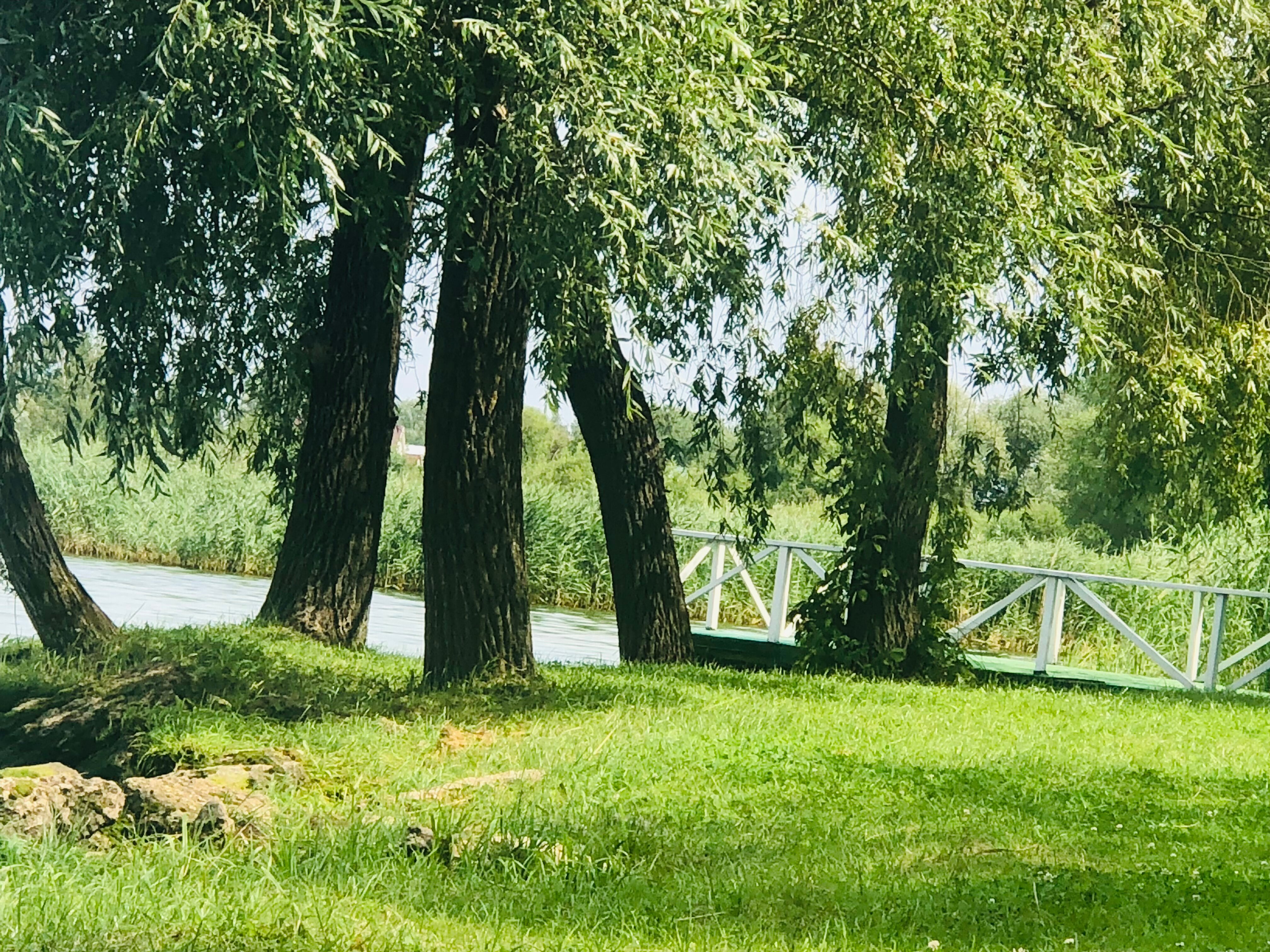 Фото Бригантина