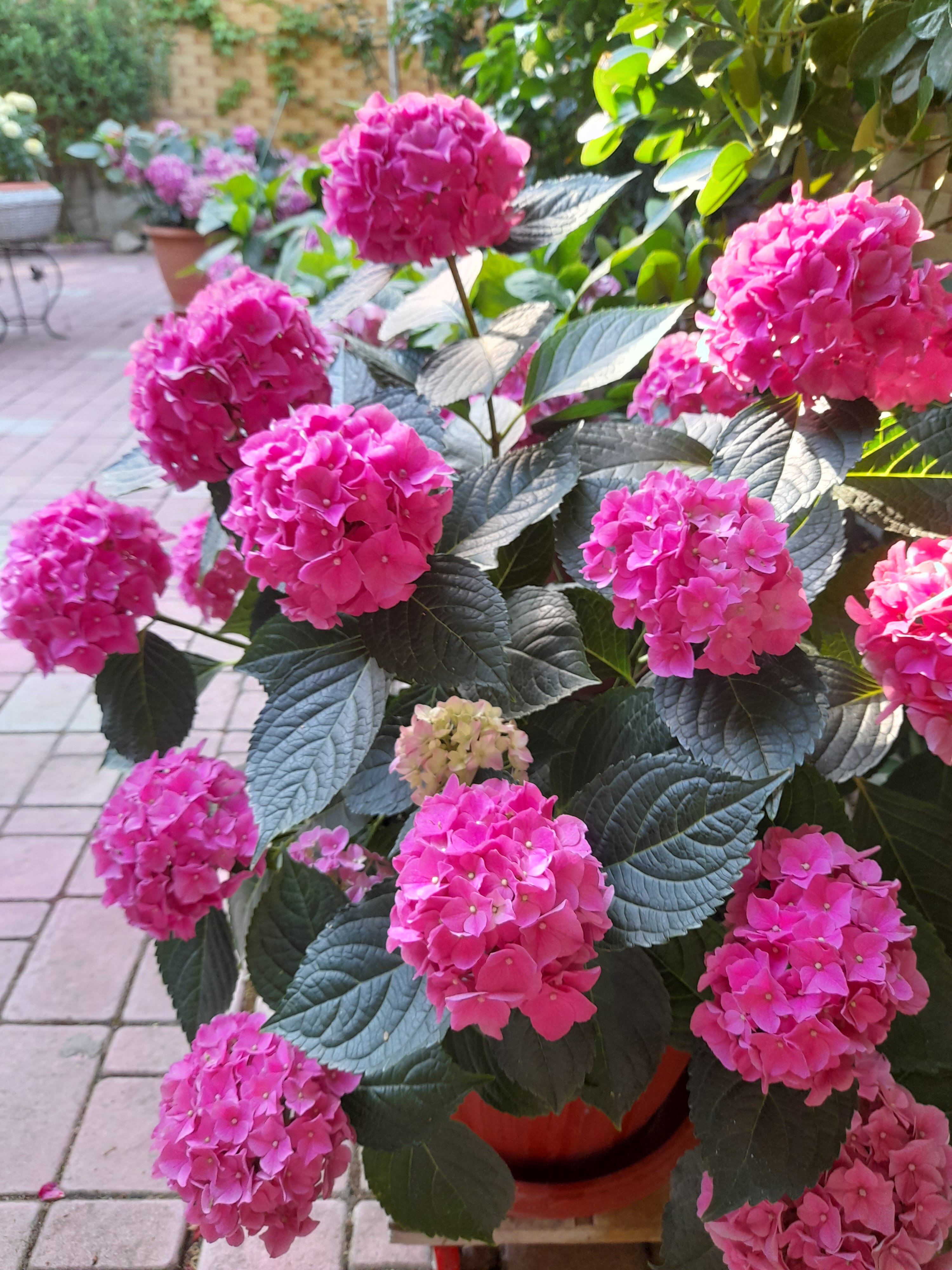 Фото Гостиный дом Изумруд