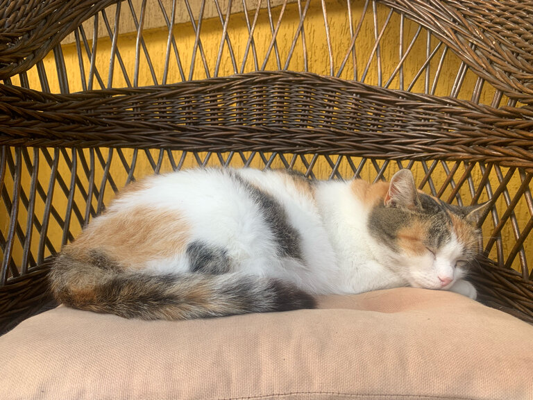 Фото Причал 38