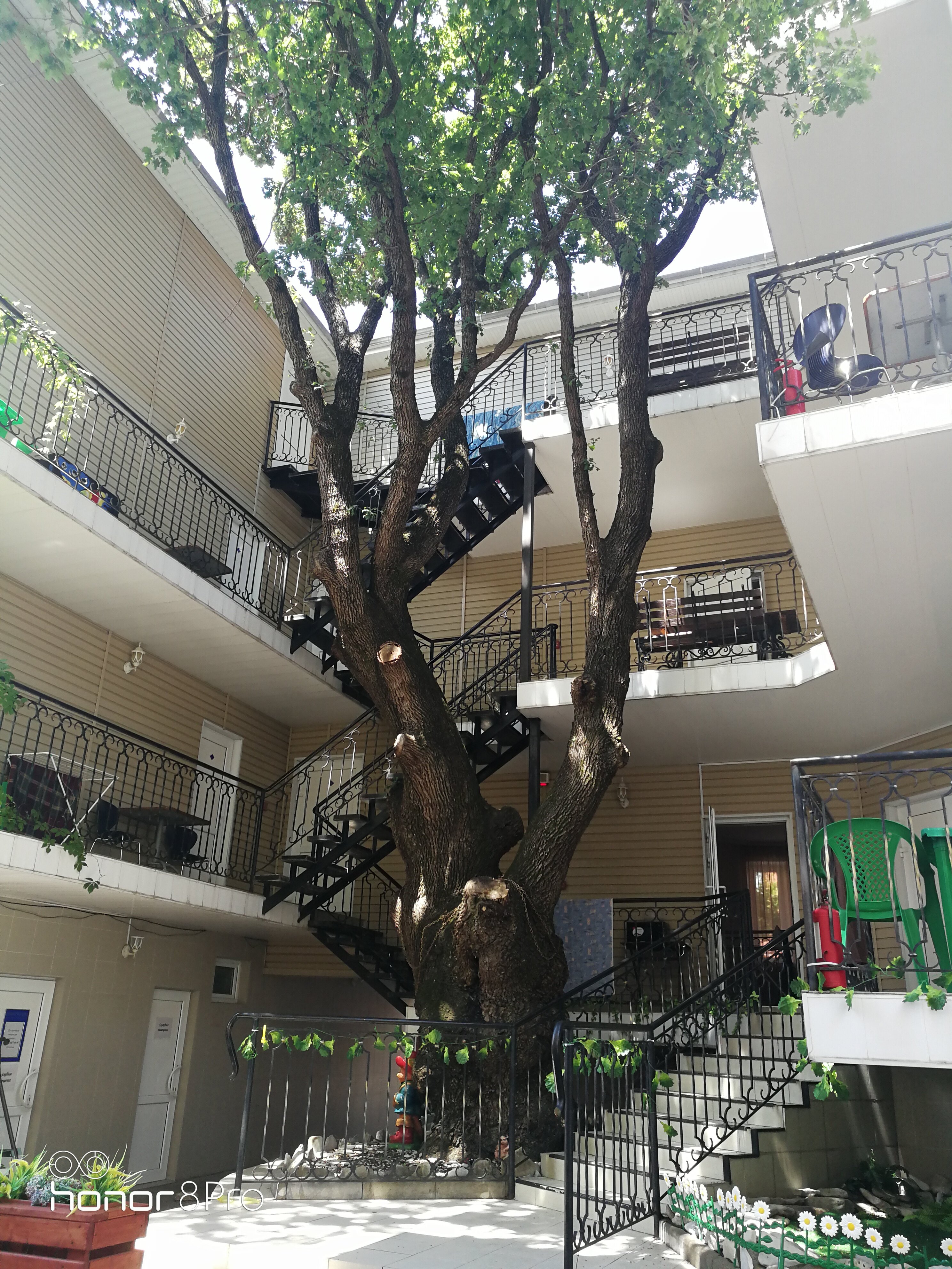 Фото Лукоморье