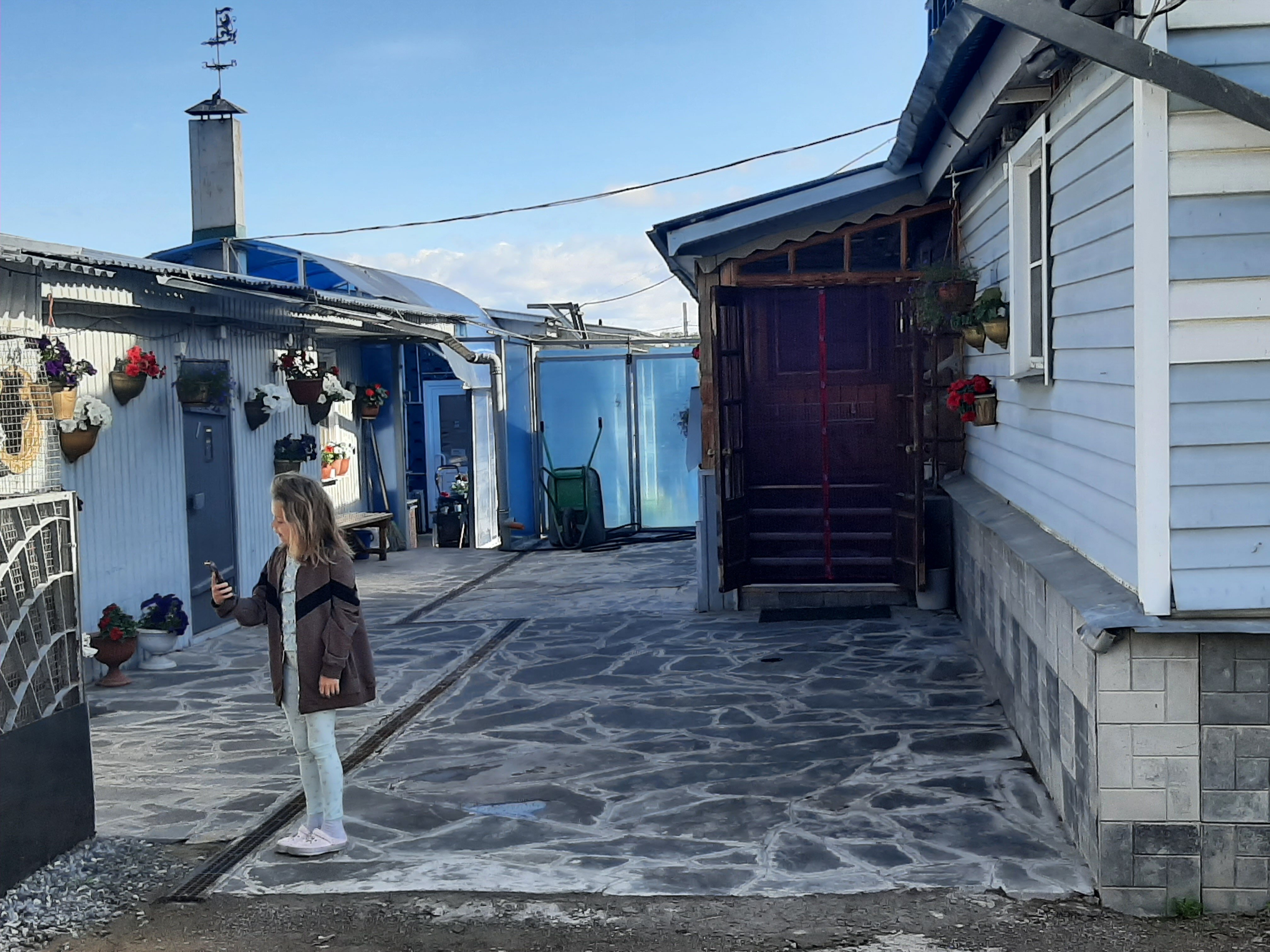 Фото Береза