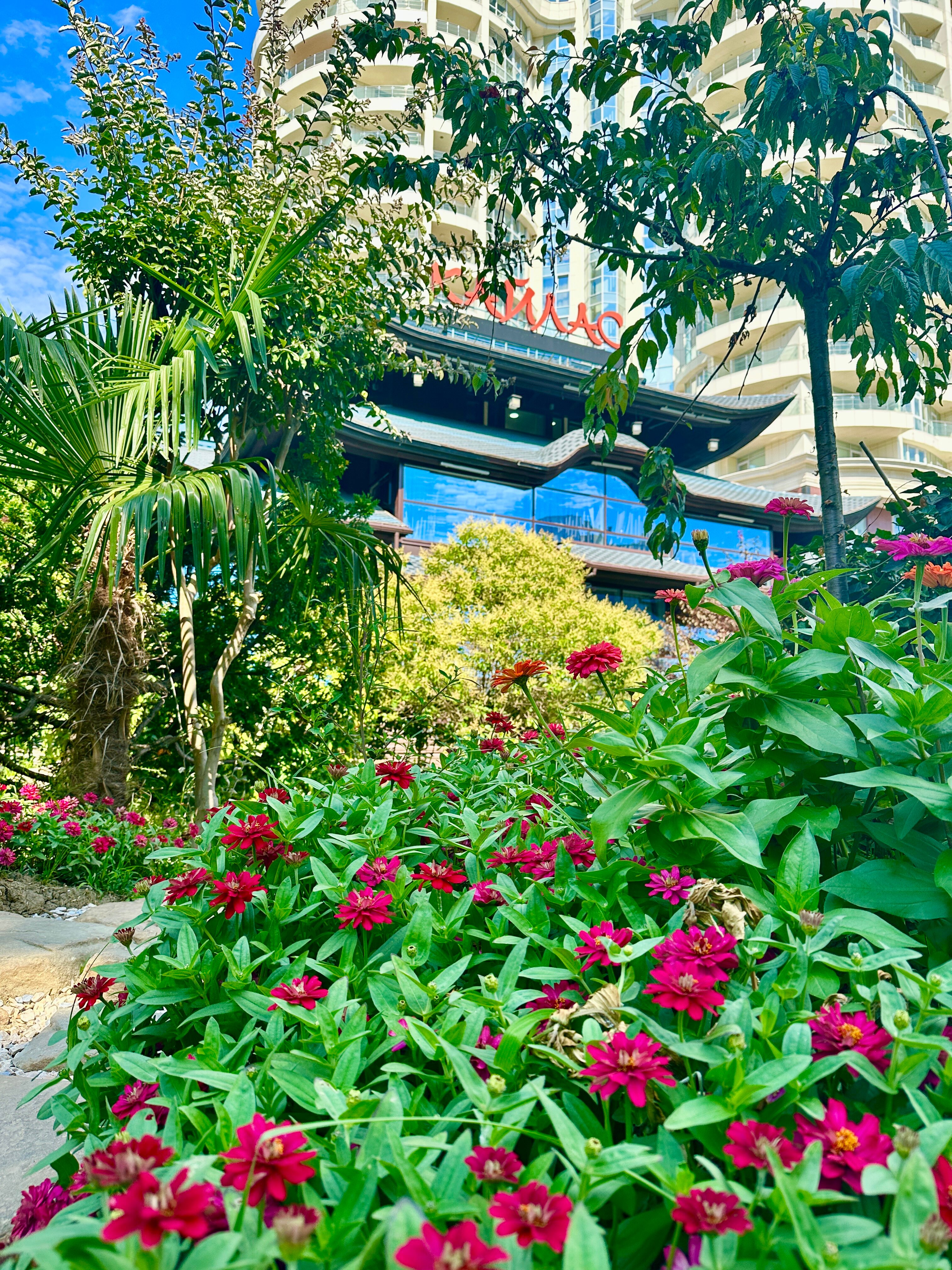 Фото Kailas Park & SPA by Stellar Hotels, Sochi