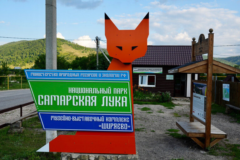 Фото Лисички-сестрички