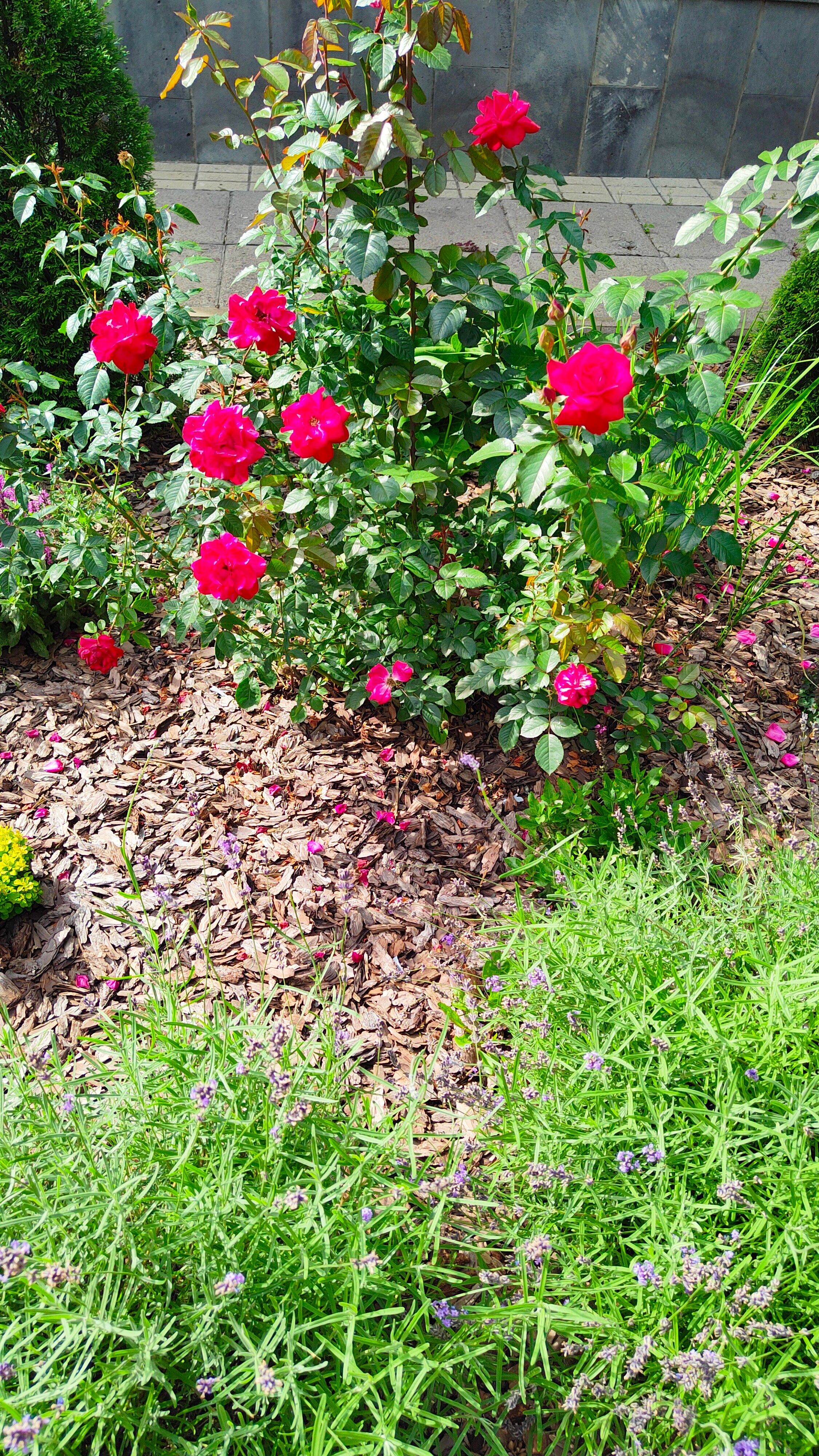 Фото Санаторий им. Ф. Э. Дзержинского