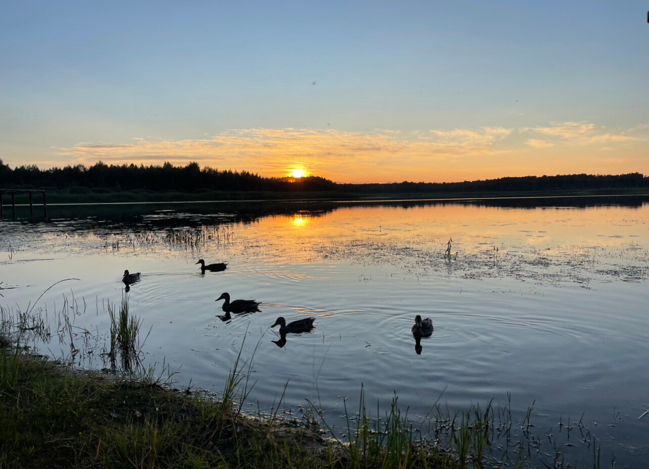 Фото Павловская Усадьба