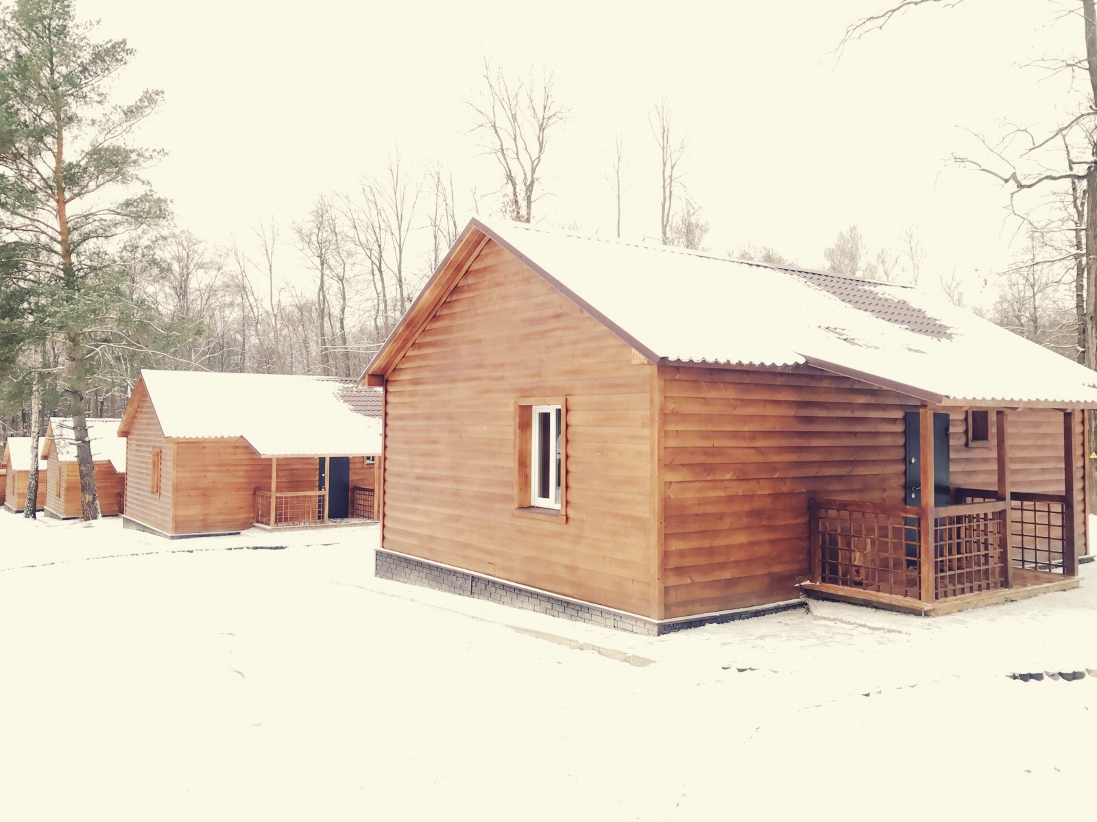 Фото Приокские зори