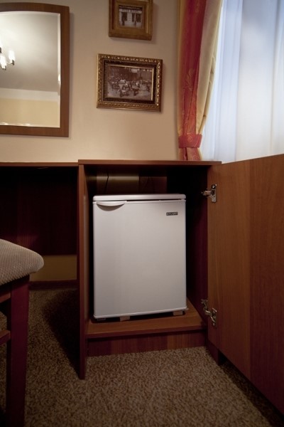 Фото Холстомер