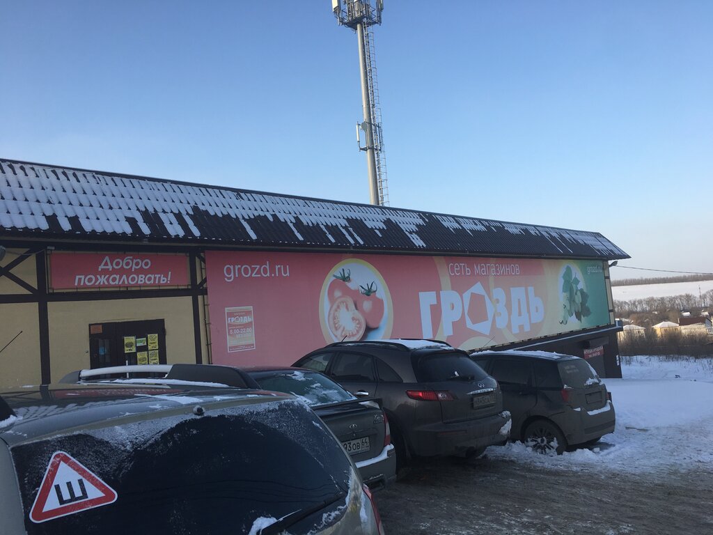 Саратов Сайт Магазина Гроздь