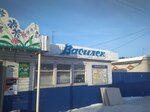 Василёк (Village of Aysha, Ozyornaya ulitsa, 4/2), tienda de productos