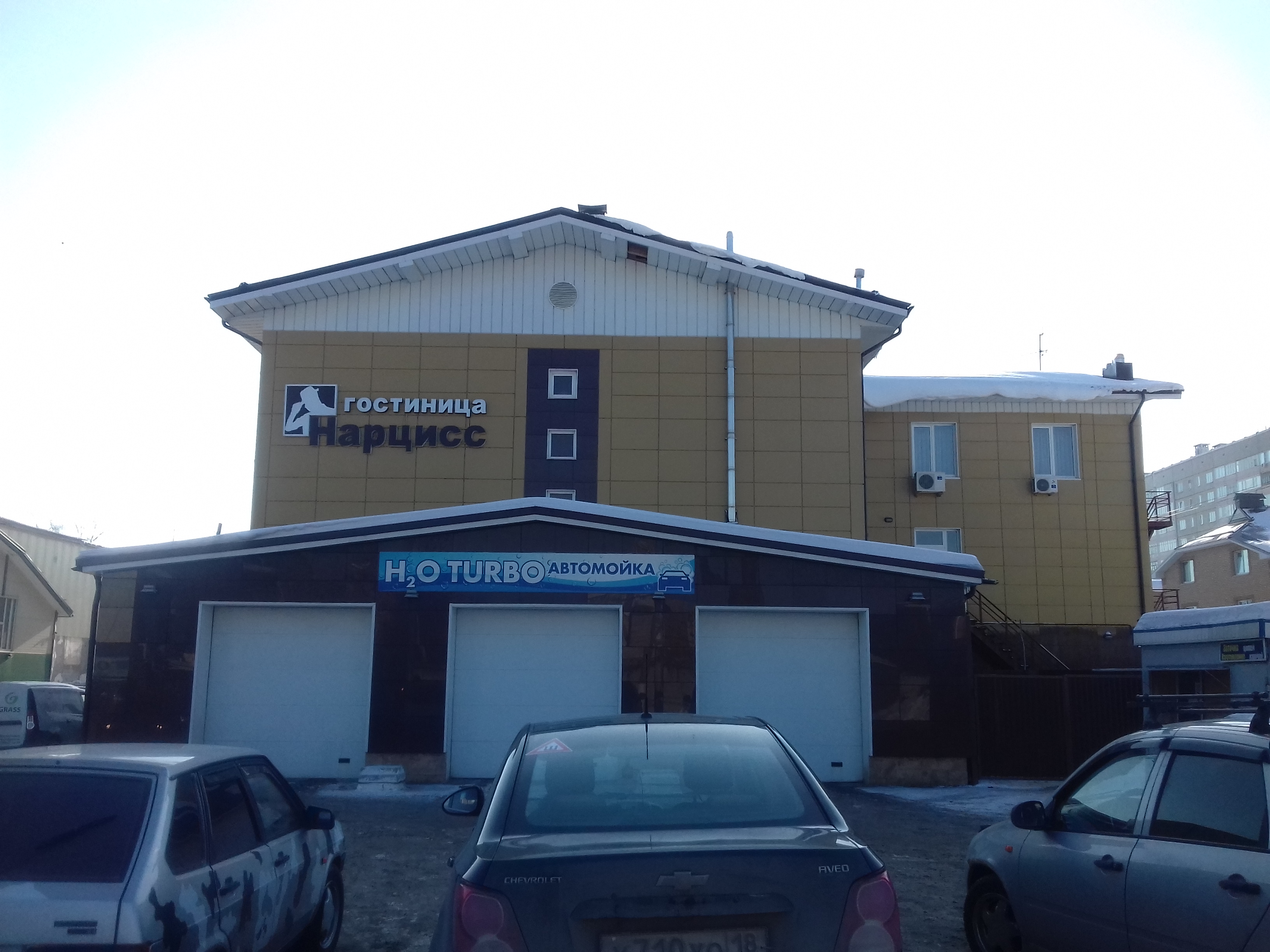 Фото Нарцисс