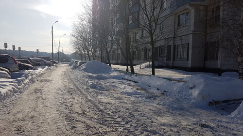 Коммунальная служба Жилищник, Москва, фото