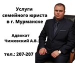 Advokat Chizhevsky A. V. (Sofyi Perovskoy Street, 21) ، محامي