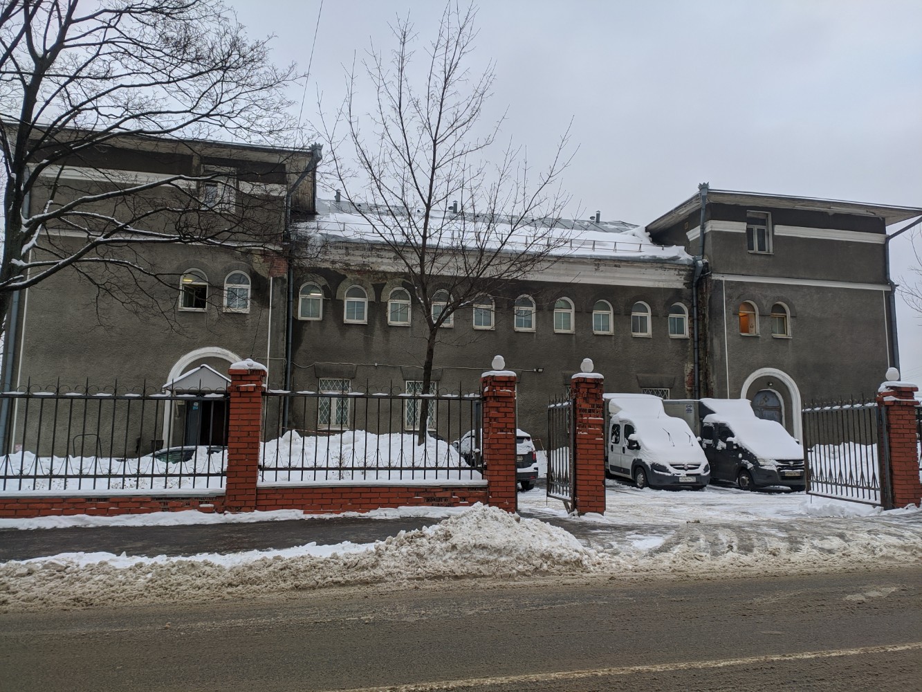 Фото Лакмус