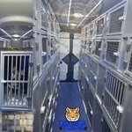 Animal Trips (Jazminavaja Street, 2Д), transportation of animals