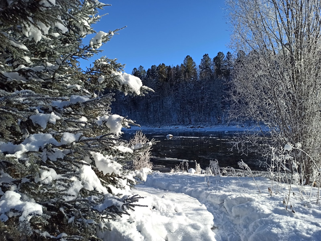 Фото Бурундуки