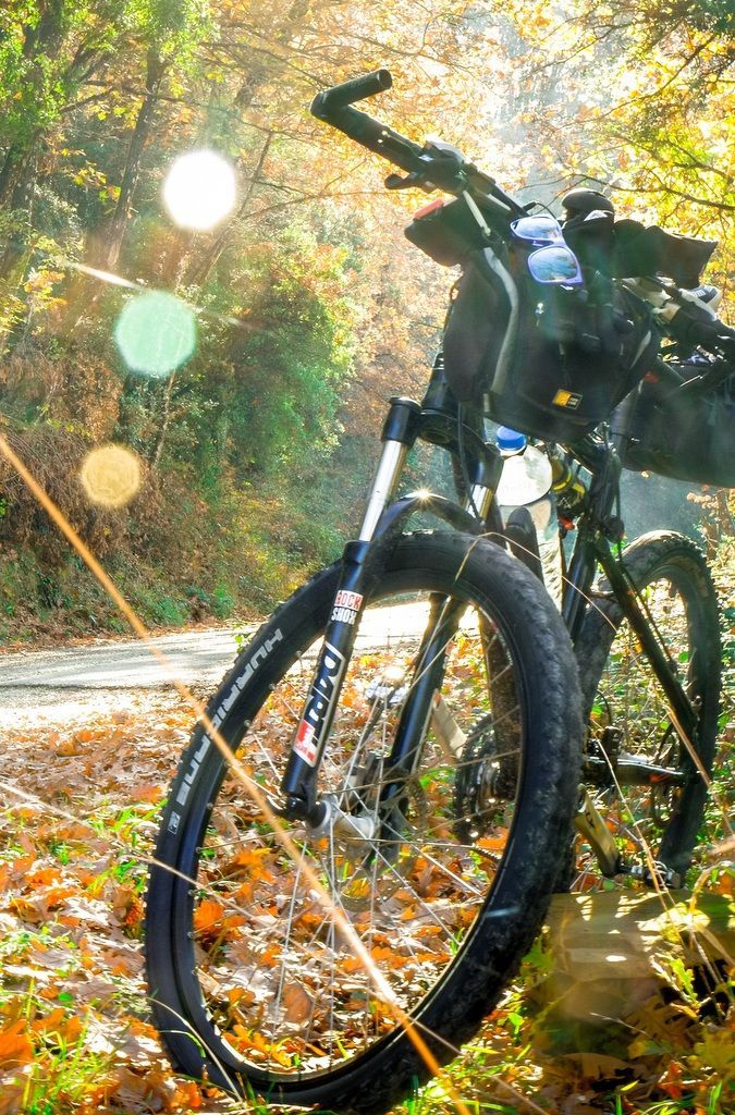 Фото Киногородок