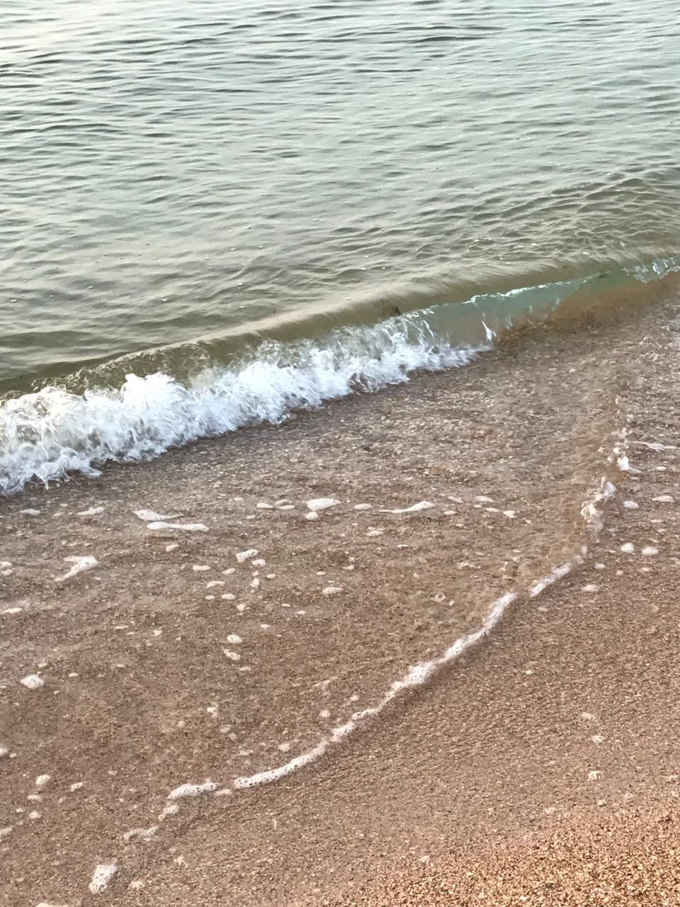 Фото Фортуна