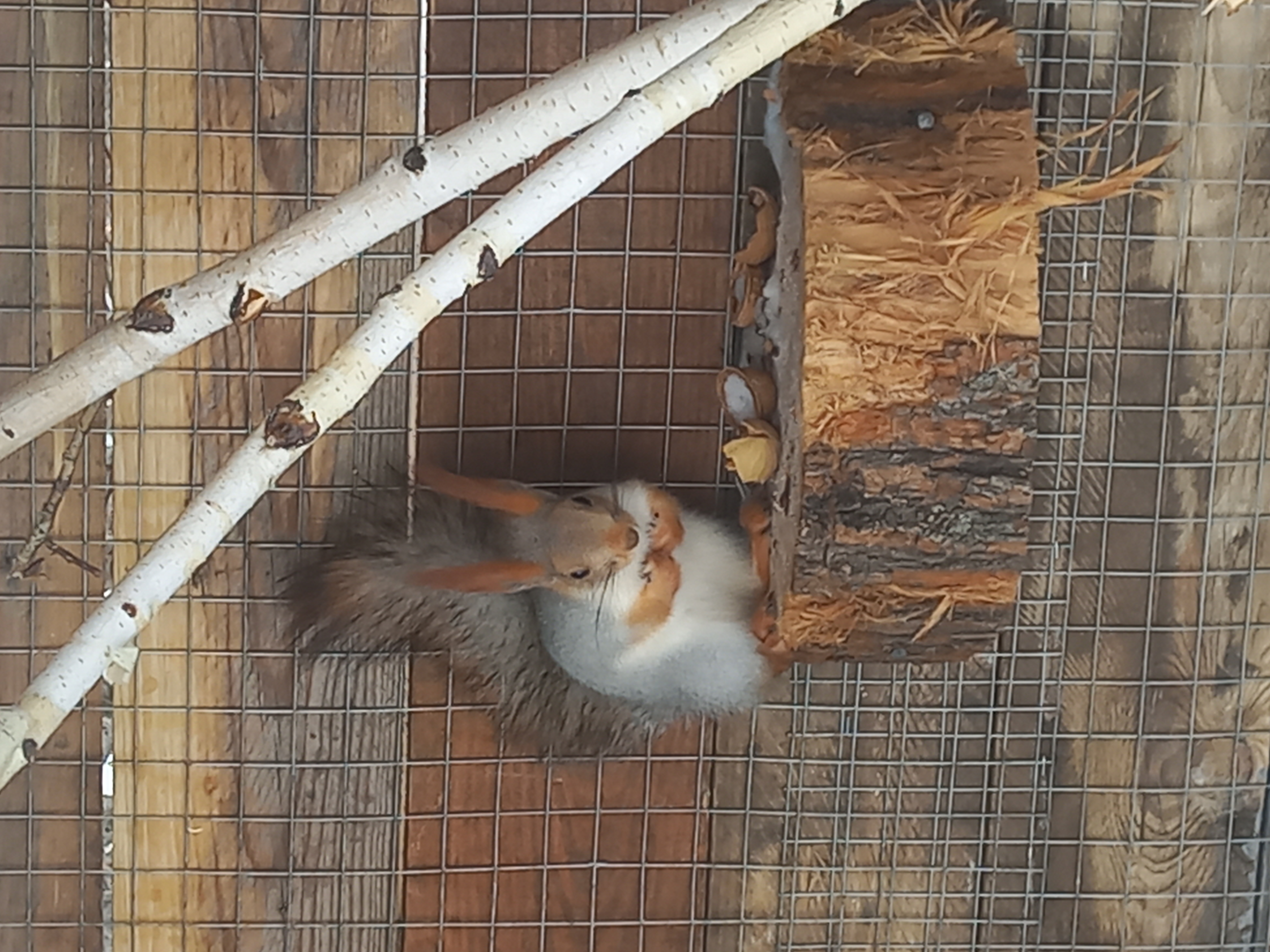 Фото Своя ферма