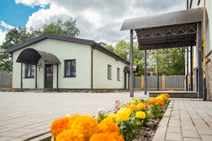 Подсолнух