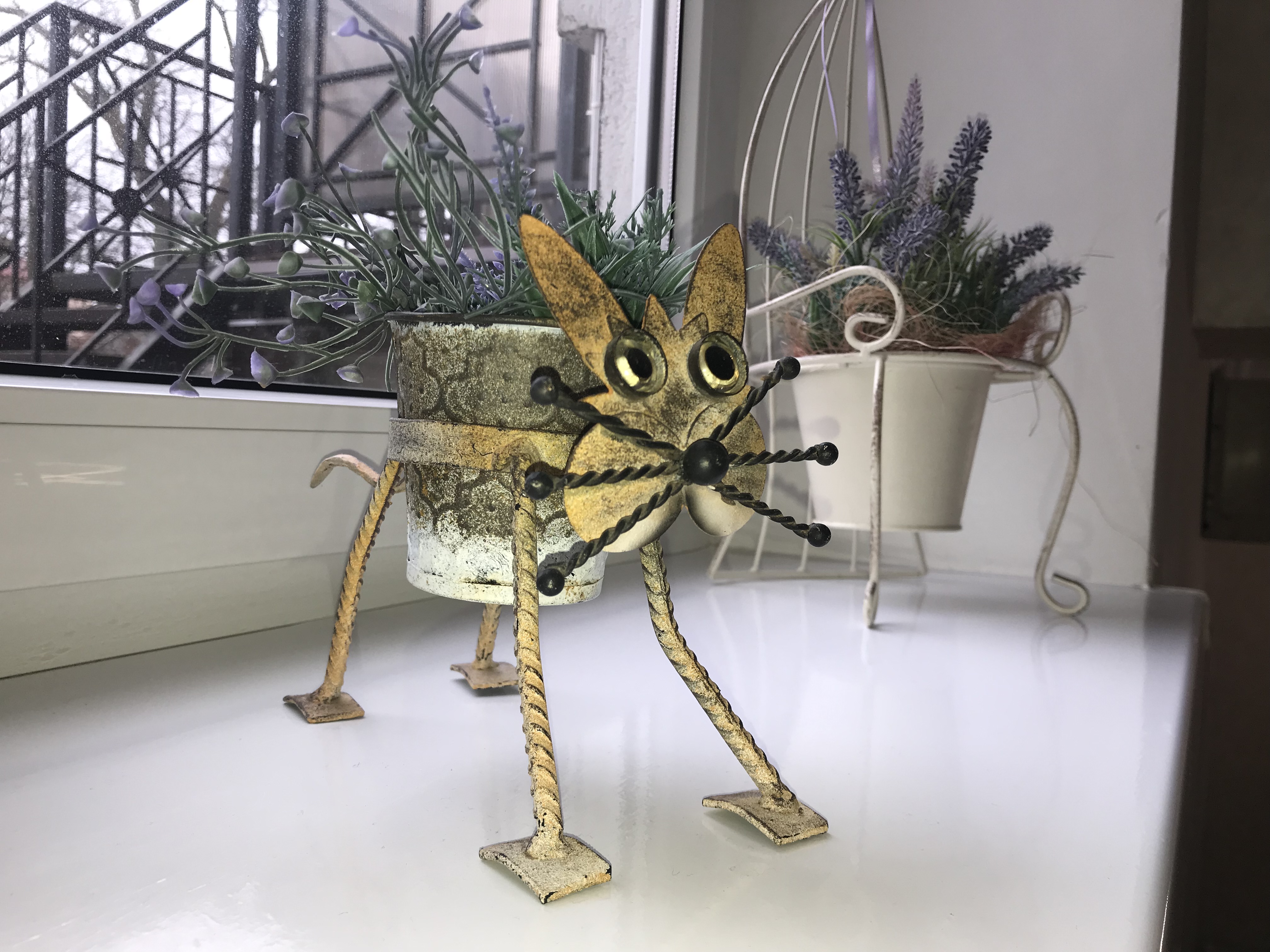 Фото Априори