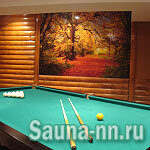 Diana (Avtozavodskiy City District, Monchegorskiy Microdistrict, Monchegorskaya Street, 6А), sauna