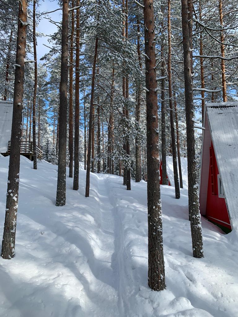 Фото Гринвальд Парк Скандинавия