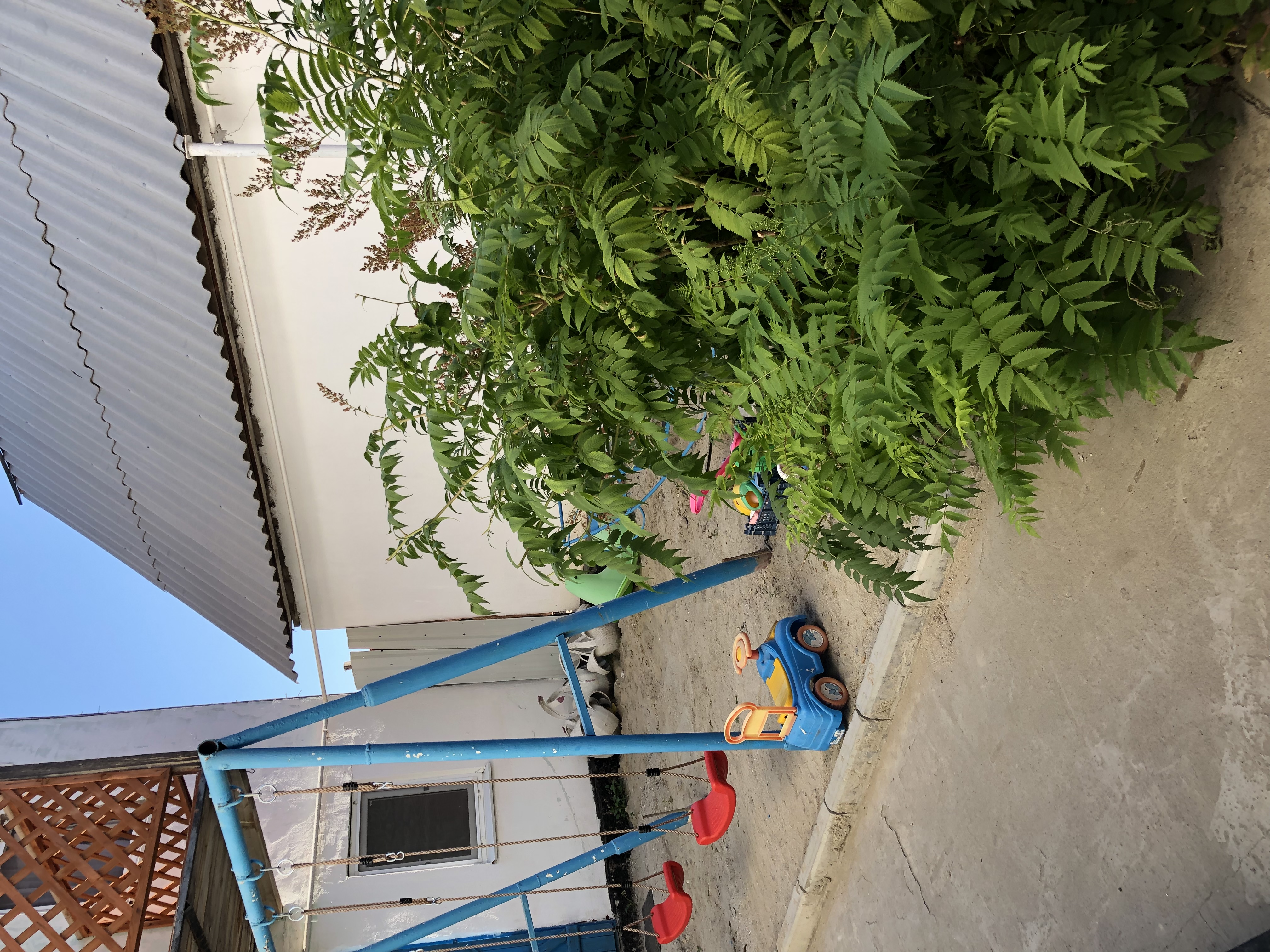 Фото Да.., Мир!