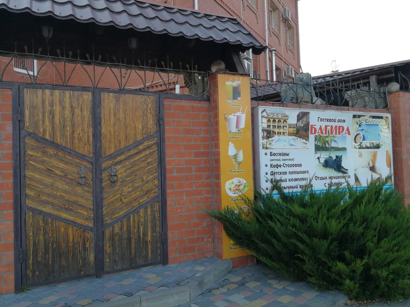 Фото Багира