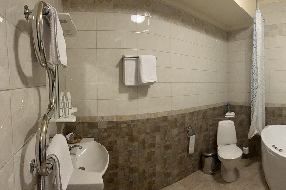 Фото Викинг I