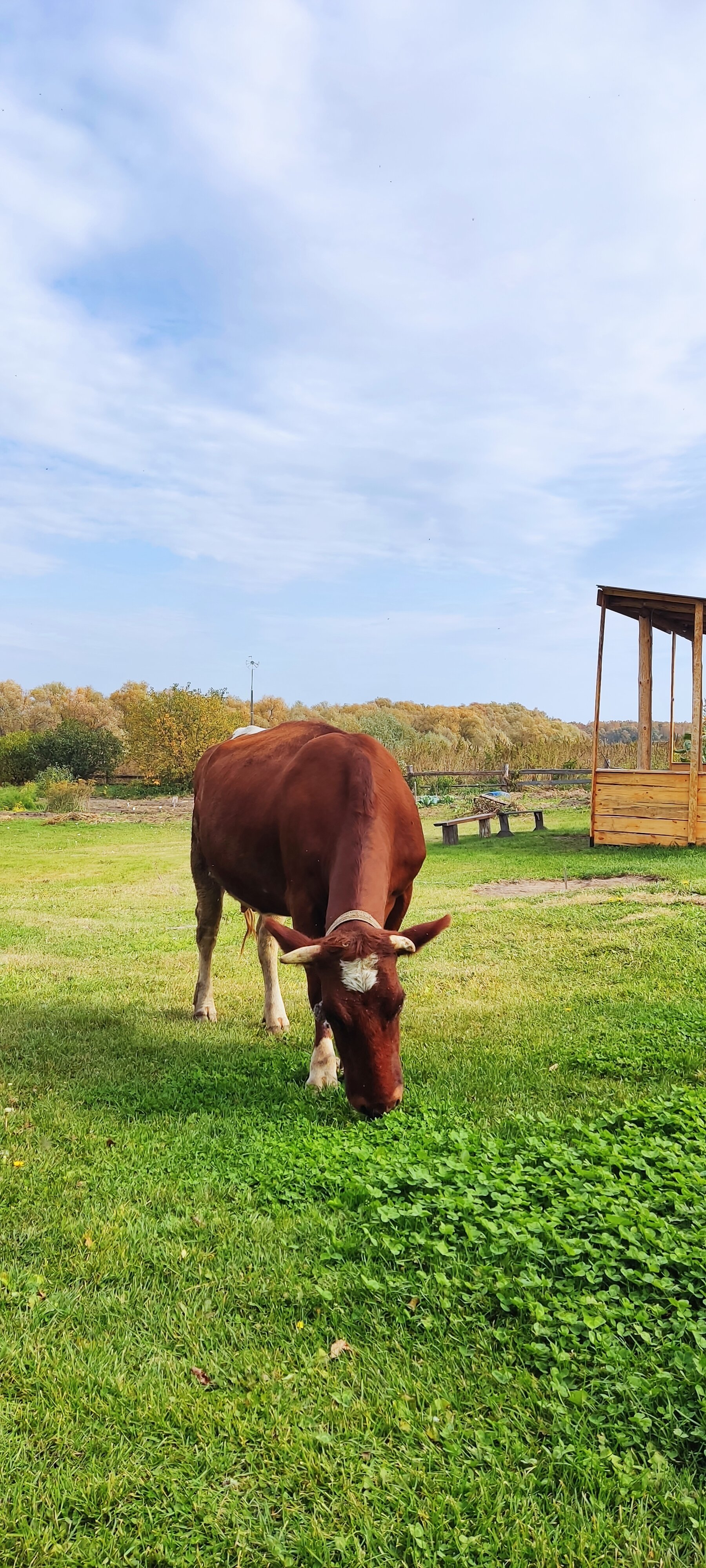 Фото Живое Окунево