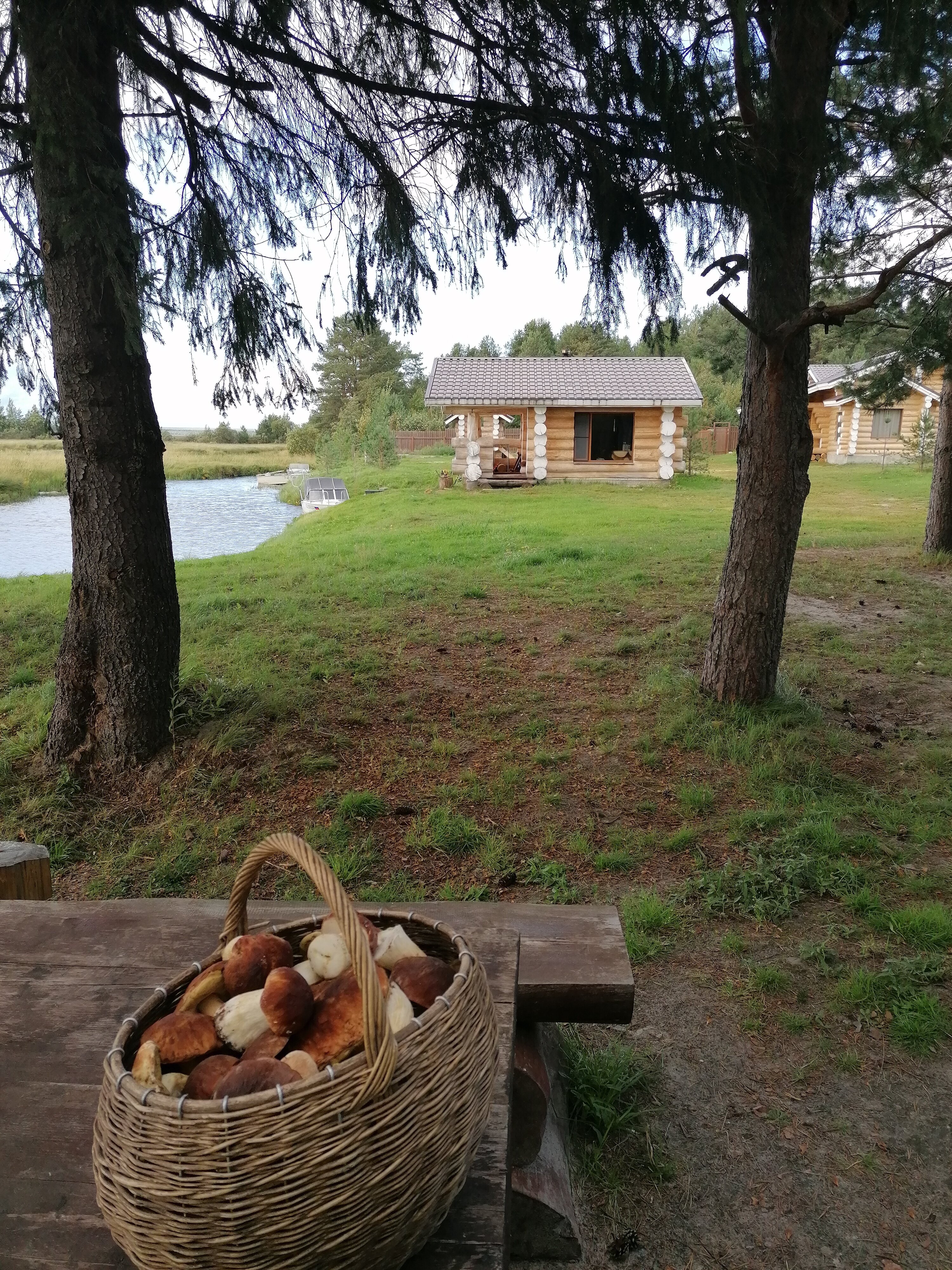 Фото Челмужская усадьба