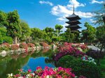 Taganrog Global Travel, Ip (pereulok Antona Glushko, 15), travel agency