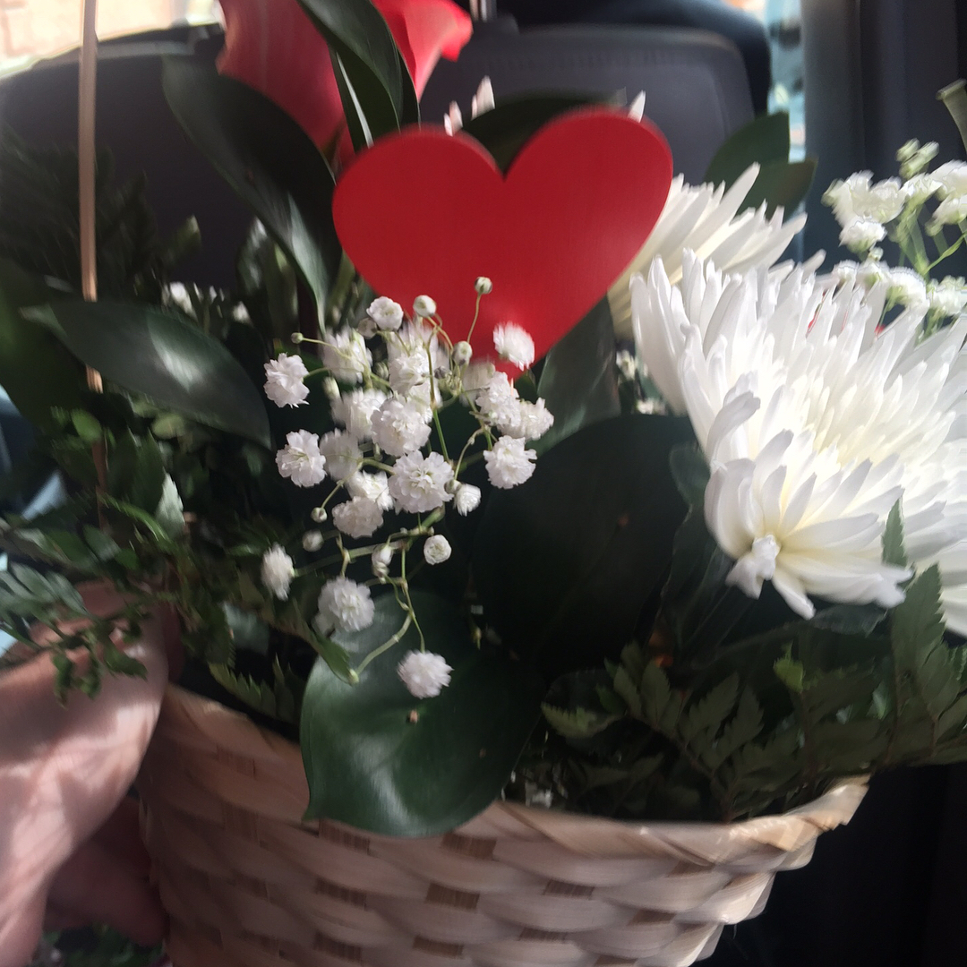 Фото Шансон