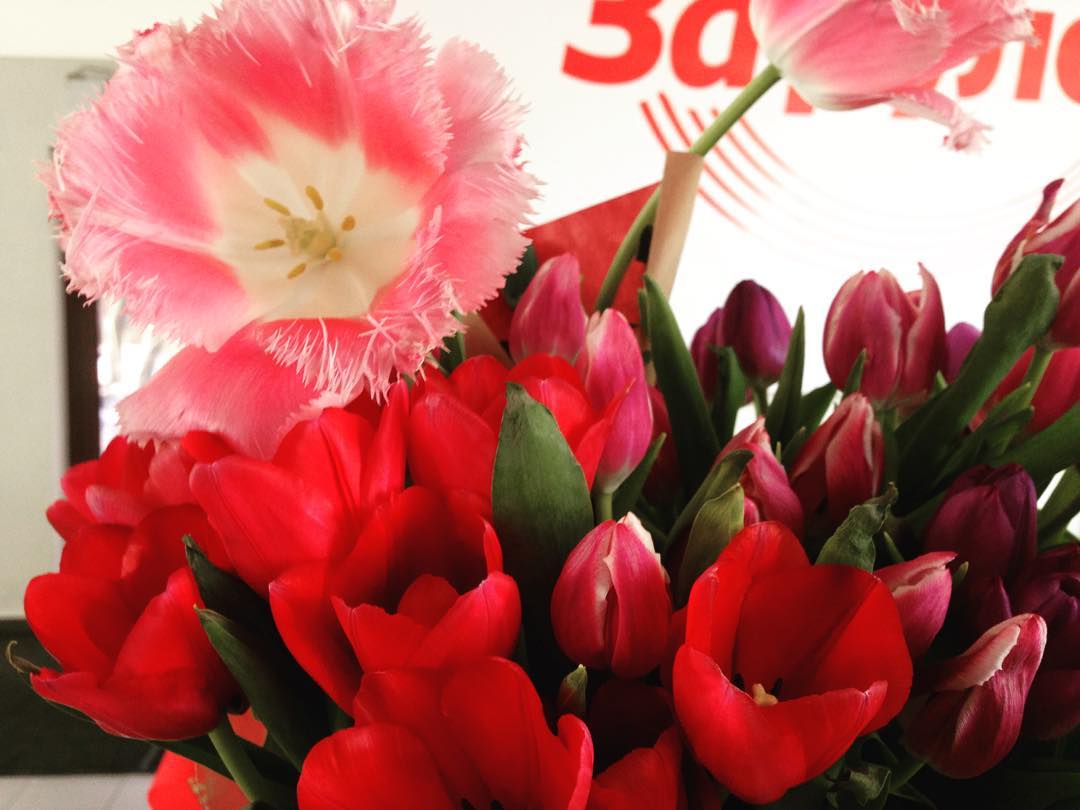 Фото Формула за рулем