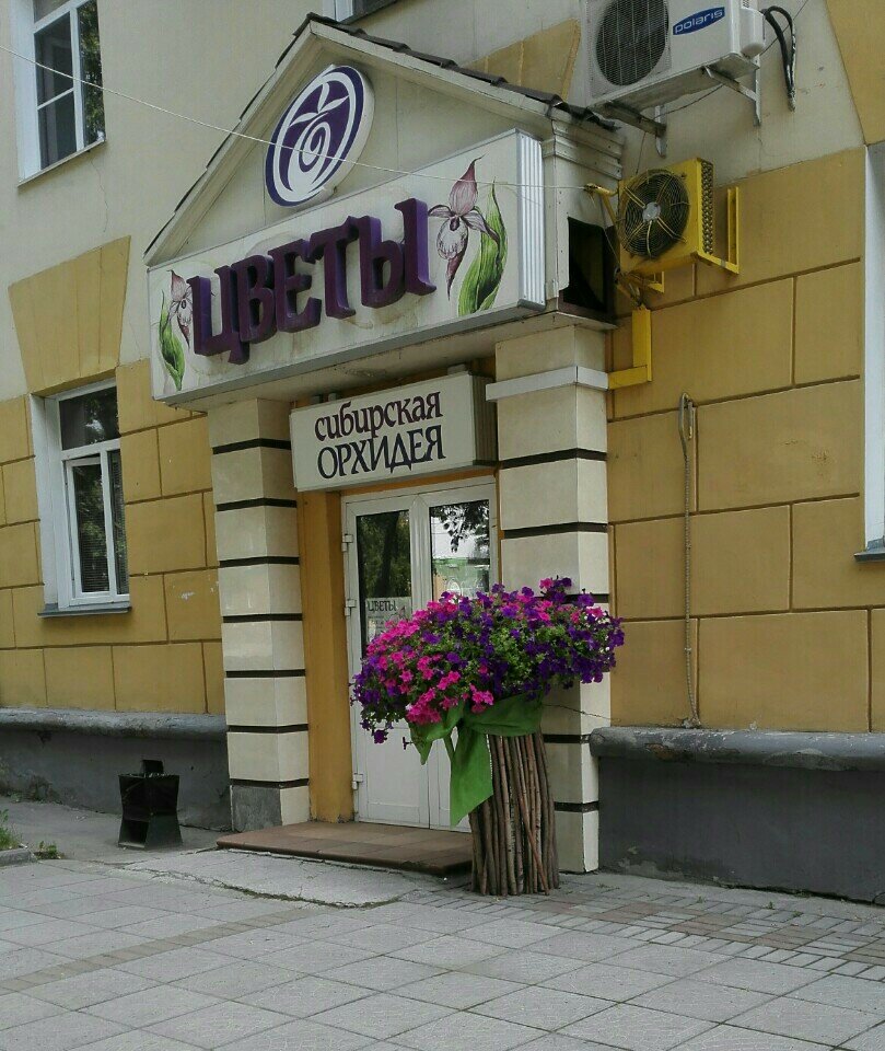 Орхидея ул баскакова 14 фото