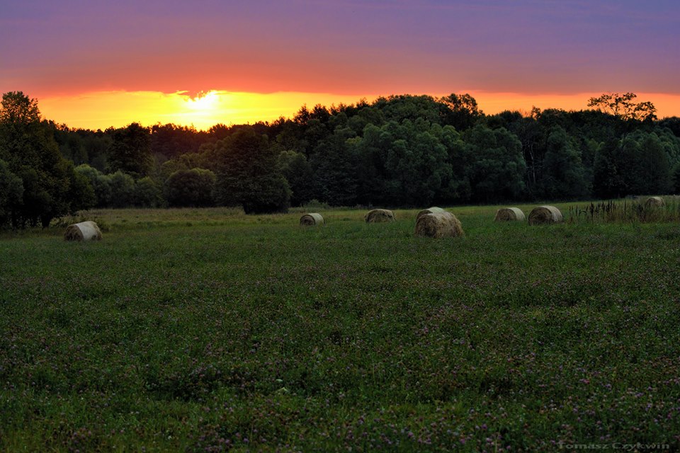Фото Агроусадьба Мечта в Беловежской пуще
