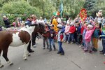 Мосприрода, Эколого-просветительский центр Конный двор (ул. Металлургов, 41, стр. 1), экологическая организация в Москве