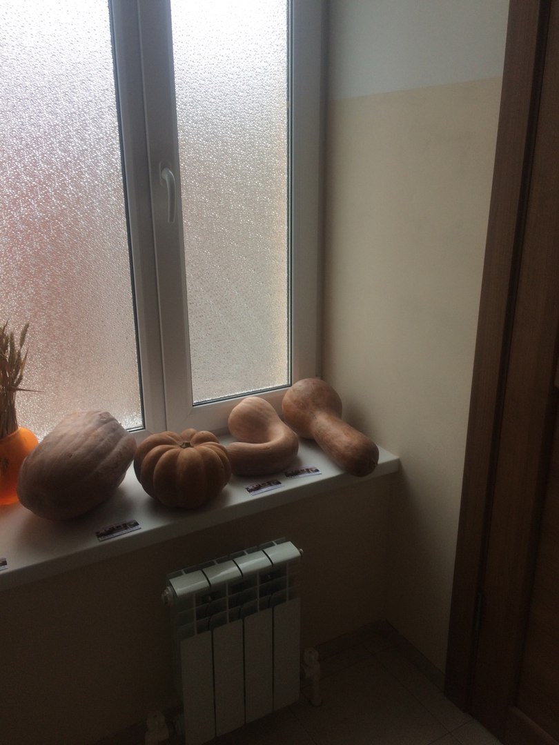 Фото Ростов-61